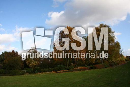 Herbststimmung-25-10-09 008.jpg